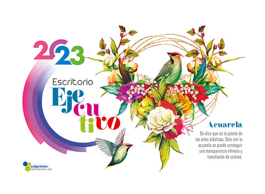 Escritorio Ejecutivo 